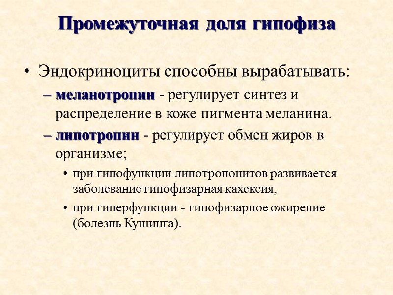 Промежуточная доля гипофиза Эндокриноциты способны вырабатывать: меланотропин - регулирует синтез и распределение в коже